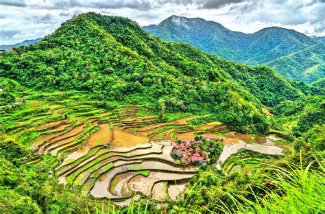 Rice Terraces of the Philippine Cordilleras .